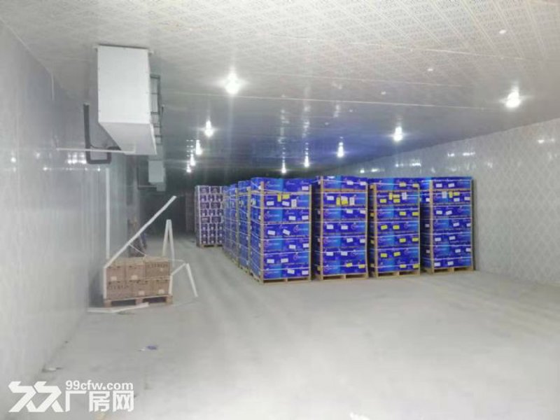 冷冻仓库出租